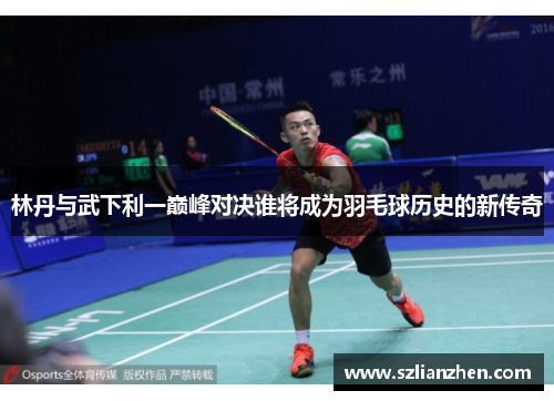 林丹与武下利一巅峰对决谁将成为羽毛球历史的新传奇